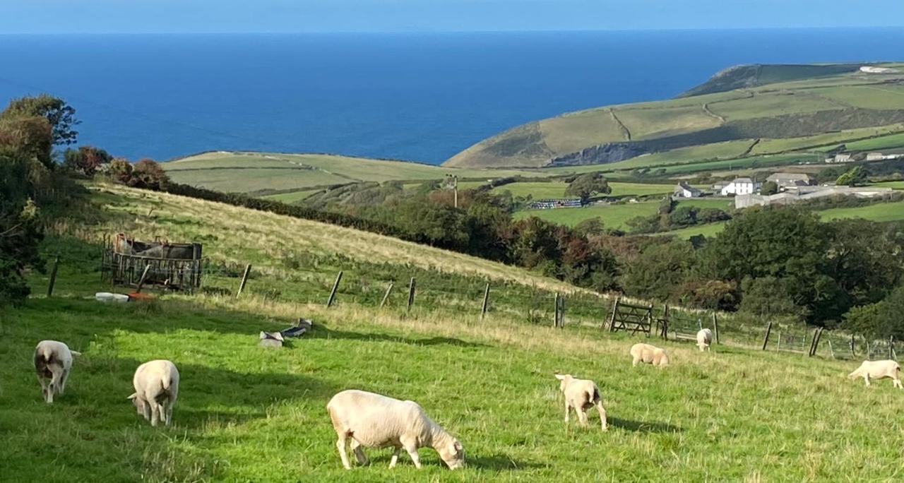 Polrunny Farm Sloe Cottage With A Sea View Boscastle Dış mekan fotoğraf