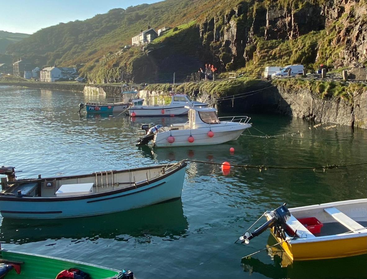 Polrunny Farm Sloe Cottage With A Sea View Boscastle Dış mekan fotoğraf