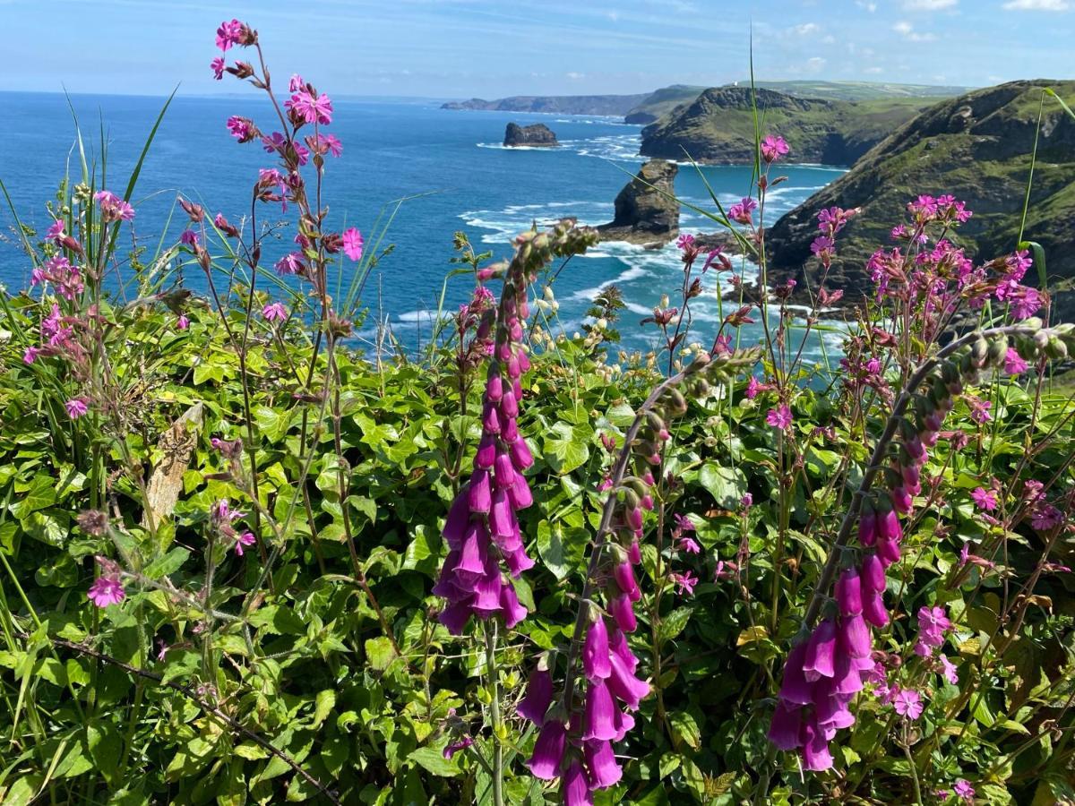 Polrunny Farm Sloe Cottage With A Sea View Boscastle Dış mekan fotoğraf