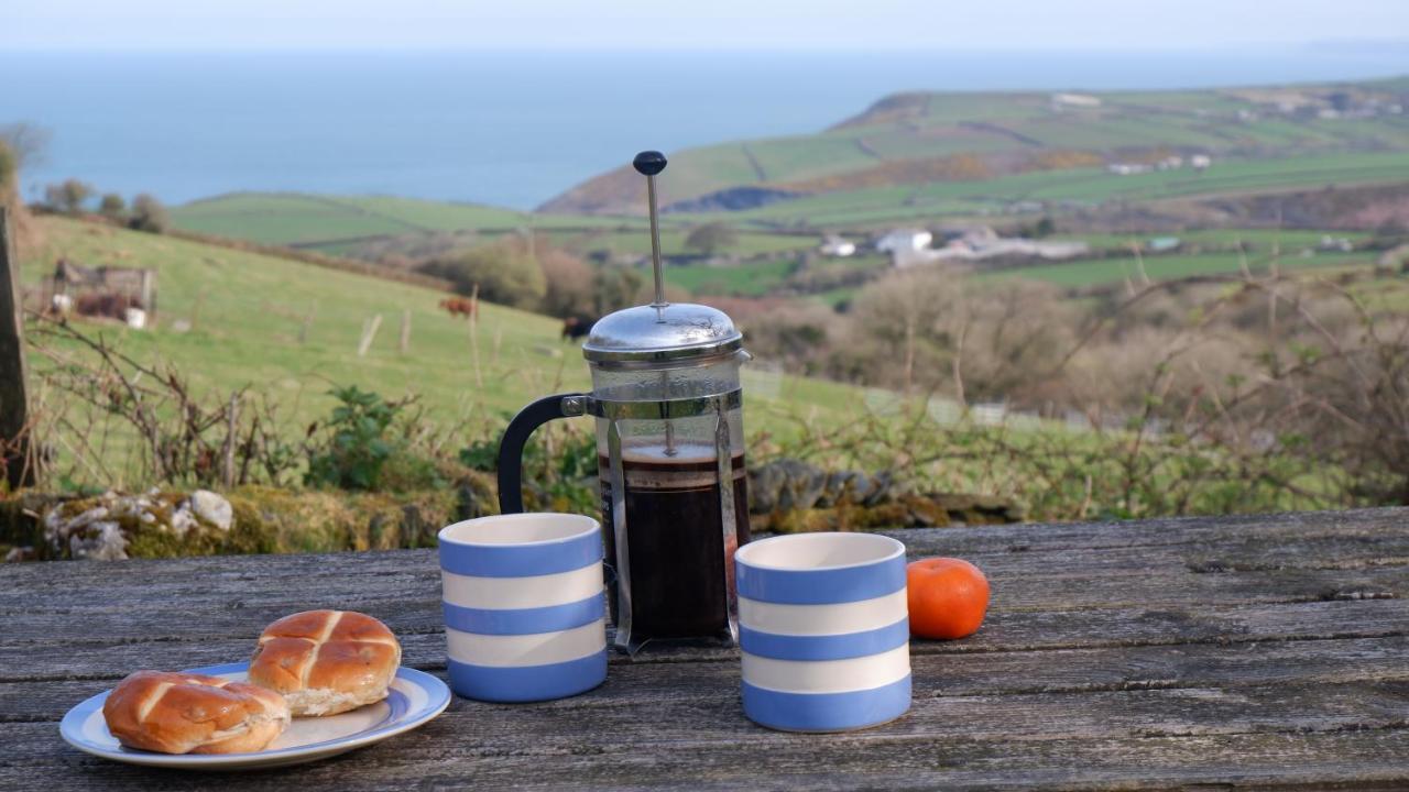 Polrunny Farm Sloe Cottage With A Sea View Boscastle Dış mekan fotoğraf