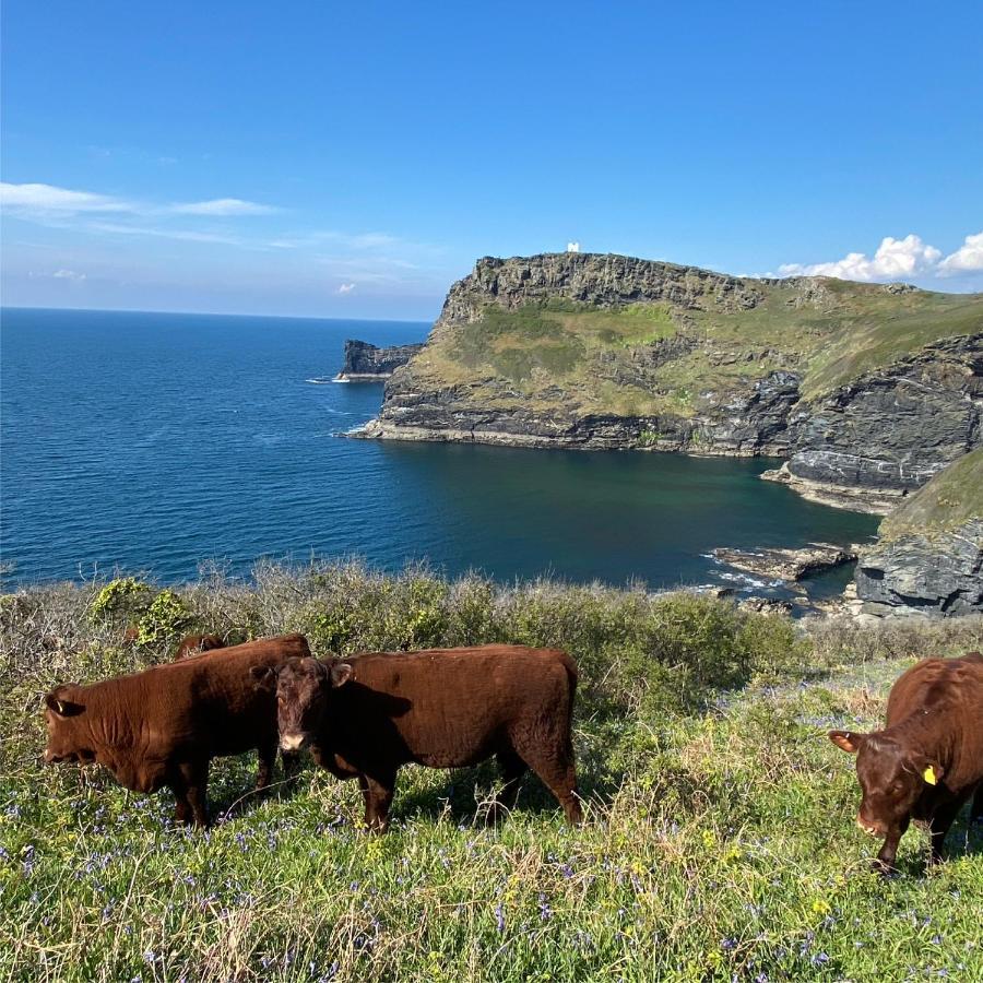 Polrunny Farm Sloe Cottage With A Sea View Boscastle Dış mekan fotoğraf