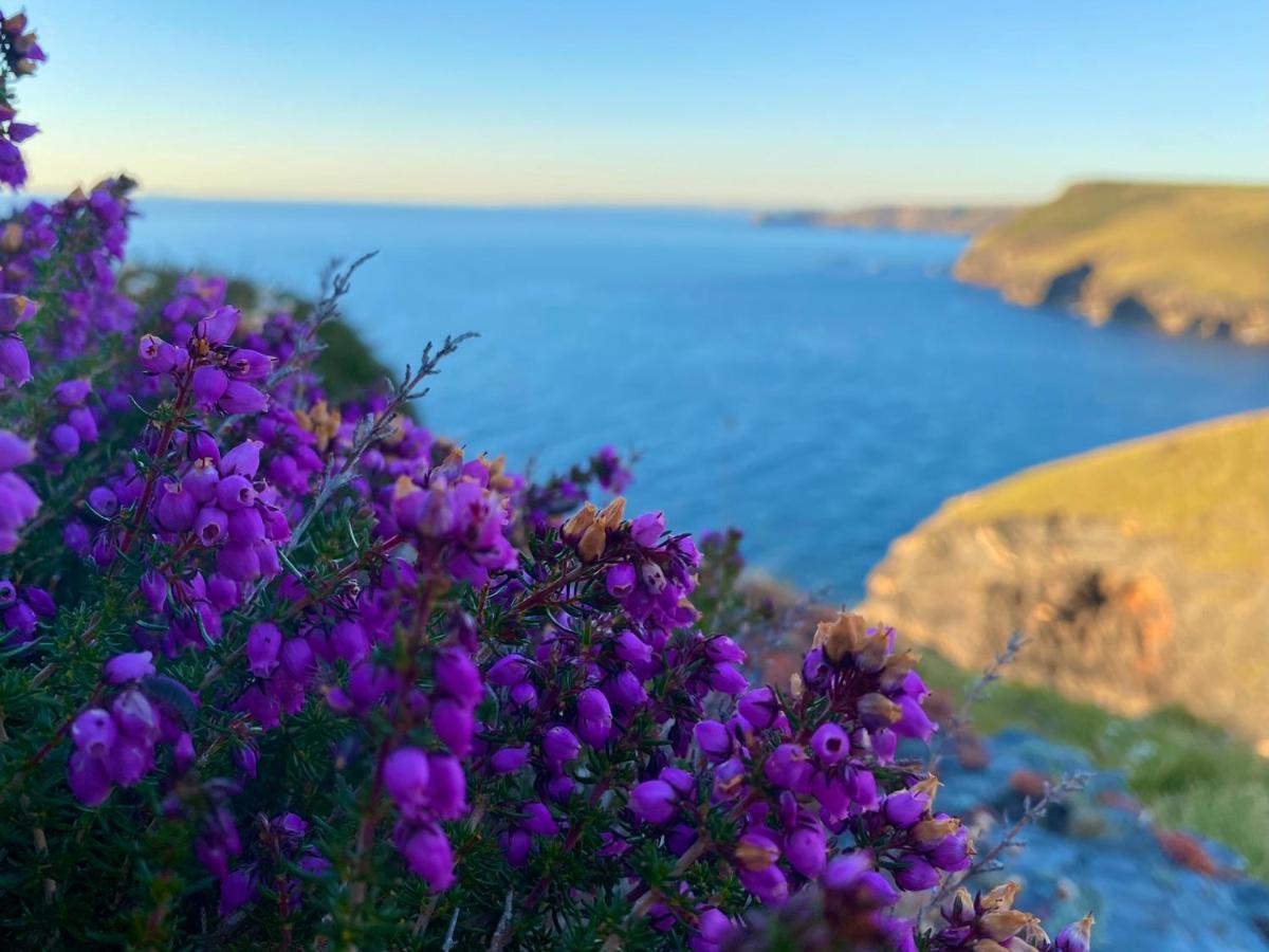 Polrunny Farm Sloe Cottage With A Sea View Boscastle Dış mekan fotoğraf