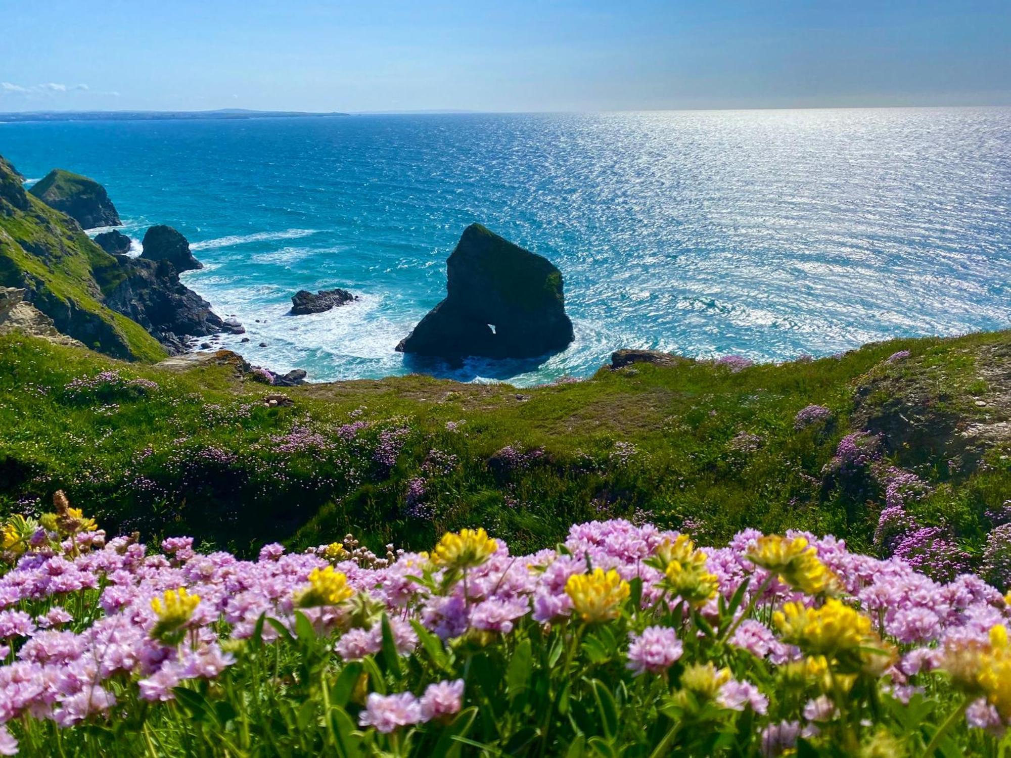 Polrunny Farm Sloe Cottage With A Sea View Boscastle Dış mekan fotoğraf